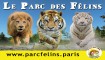 PARC DES FELINS