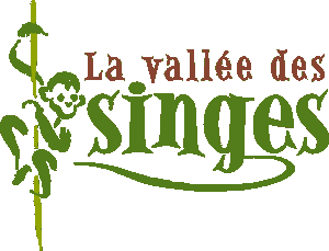 VALLEE DES SINGES